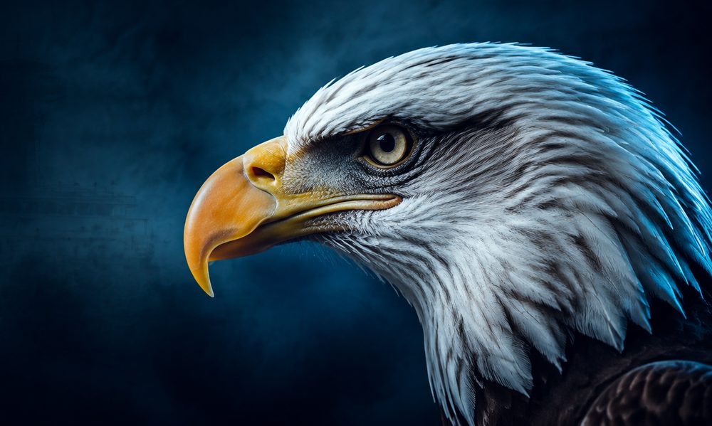 Eagle — airport and wildlife forensics
