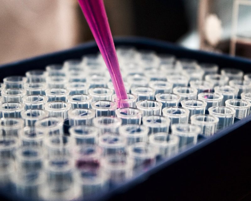 Research bench and reagents