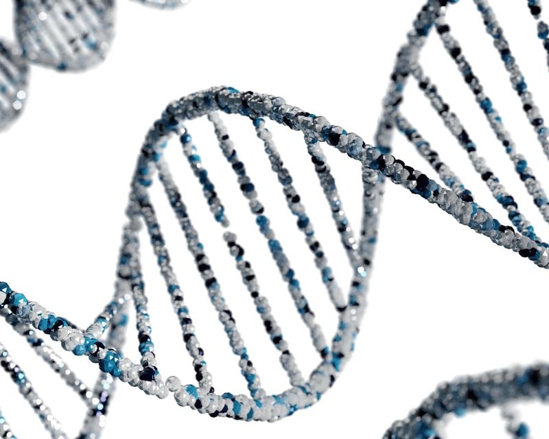 DNA helix