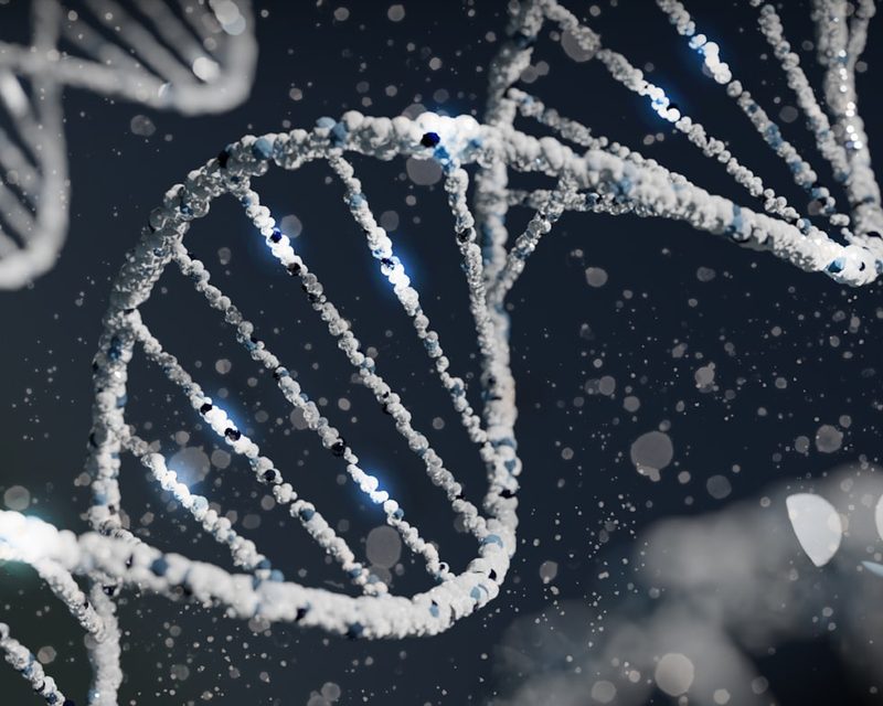 DNA helix — molecular and genetic services