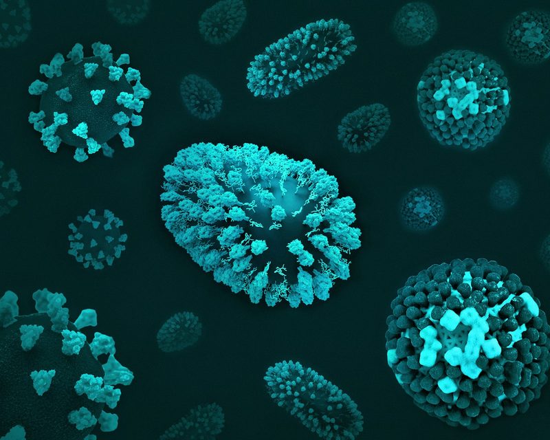 Microscopy cells